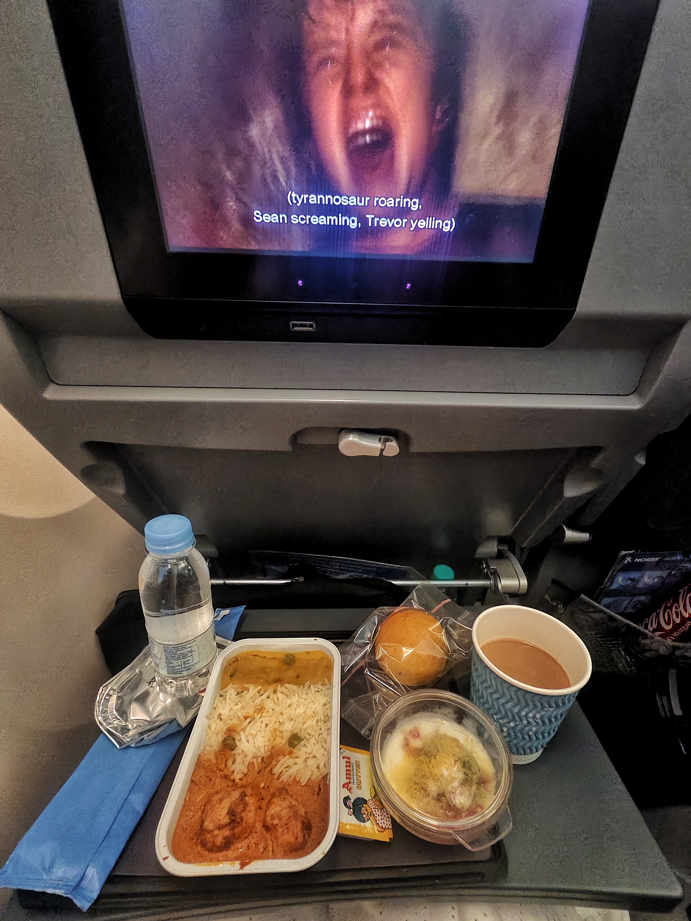 AIRPLANE FOOD IS BASICALLY COPYWRITING